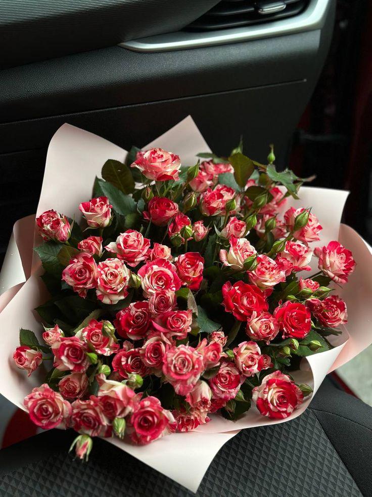 Enchanted Garden: Symphony in Blooms